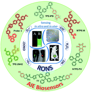 Graphical abstract: Aggregation-induced emission luminogens for RONS sensing