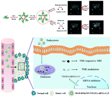 Graphical abstract: Albumin-stabilized manganese-based nanocomposites with sensitive tumor microenvironment responsivity and their application for efficient SiRNA delivery in brain tumors