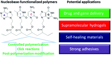 Graphical abstract: Supramolecular nucleobase-functionalized polymers: synthesis and potential biological applications