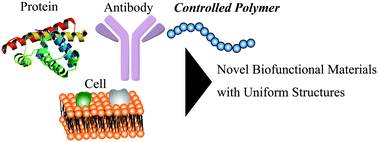 Graphical abstract: Controlled polymerization for the development of bioconjugate polymers and materials