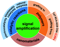 Graphical abstract: Controlled/“living” radical polymerization-based signal amplification strategies for biosensing