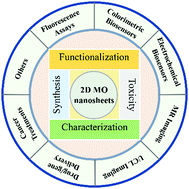Graphical abstract: Engineering two-dimensional metal oxides via surface functionalization for biological applications