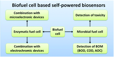 Graphical abstract: Recent development of biofuel cell based self-powered biosensors
