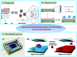Graphical abstract: Aptamer-based nanostructured interfaces for the detection and release of circulating tumor cells