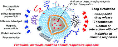 Graphical abstract: Development of functional liposomes by modification of stimuli-responsive materials and their biomedical applications