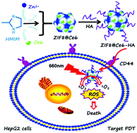 Graphical abstract: A natural polysaccharide mediated MOF-based Ce6 delivery system with improved biological properties for photodynamic therapy