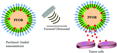 Graphical abstract: Ultrasound-triggered delivery of paclitaxel encapsulated in an emulsion at low acoustic pressures