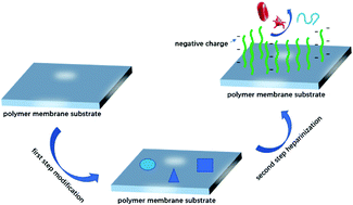 Graphical abstract: Recent advances in heparinization of polymeric membranes for enhanced continuous blood purification