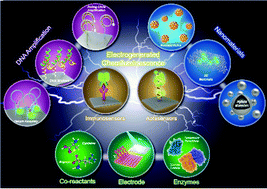 Graphical abstract: Enhanced biosensing strategies using electrogenerated chemiluminescence: recent progress and future prospects