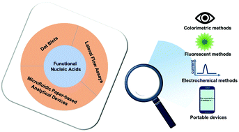 Graphical abstract: Advances in functional nucleic acid based paper sensors