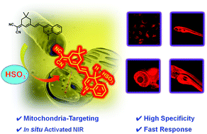 Graphical abstract: A distinctive mitochondrion-targeting, in situ-activatable near-infrared fluorescent probe for visualizing sulfur dioxide derivatives and their fluctuations in vivo