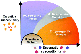 Graphical abstract: Assessing the range of enzymatic and oxidative tunability for biosensor design