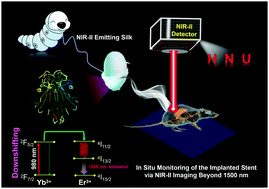 Graphical abstract: A general strategy for designing NIR-II emissive silk for the in vivo monitoring of an implanted stent model beyond 1500 nm