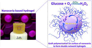 Graphical abstract: Auto-catalytic redox polymerisation using nanoceria and glucose oxidase for double network hydrogels