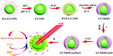 Graphical abstract: Heterodimers made of metal–organic frameworks and upconversion nanoparticles for bioimaging and pH-responsive dual-drug delivery