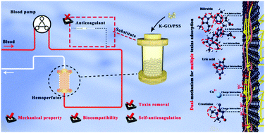 Graphical abstract: Construction of Kevlar nanofiber/graphene oxide composite beads as safe, self-anticoagulant, and highly efficient hemoperfusion adsorbents