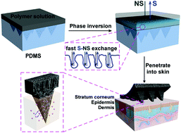 Graphical abstract: Polymer microneedles with interconnected porous structures via a phase inversion route for transdermal medical applications