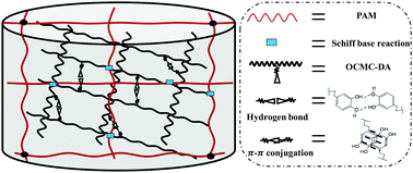 Graphical abstract: Mussel-inspired hybrid network hydrogel for continuous adhesion in water