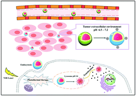 Graphical abstract: A cyanine-based polymeric nanoplatform with microenvironment-driven cascaded responsiveness for imaging-guided chemo-photothermal combination anticancer therapy