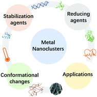 Graphical abstract: Biomolecule conjugated metal nanoclusters: bio-inspiration strategies, targeted therapeutics, and diagnostics