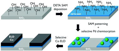 Graphical abstract: Selective electroless deposition of cobalt using amino-terminated SAMs