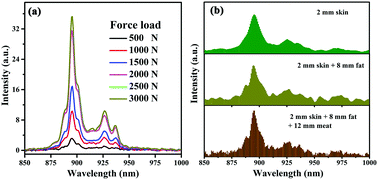 Graphical abstract: Near infrared mechanoluminescence from the Nd3+ doped perovskite LiNbO3:Nd3+ for stress sensors