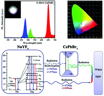 Graphical abstract: NIR-excited all-inorganic perovskite quantum dots (CsPbBr3) for a white light-emitting device