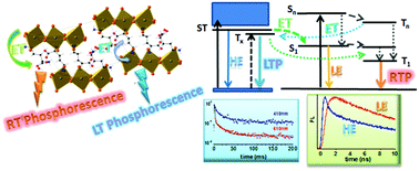 Graphical abstract: Dual phosphorescence from the organic and inorganic moieties of 1D hybrid perovskites of the Pbn′Br4n′+2 series (n′ = 2, 3, 4, 5)