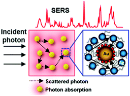 Graphical abstract: Scattering-mediated absorption from heterogeneous nanoparticle assemblies in diblock copolymer micelles for SERS enhancement