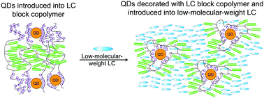 Graphical abstract: Liquid crystalline block copolymers as adaptive agents for compatibility between CdSe/ZnS quantum dots and low-molecular-weight liquid crystals