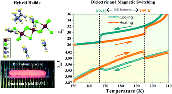 Graphical abstract: Unprecedented 30 K hysteresis across switchable dielectric and magnetic properties in a bright luminescent organic–inorganic halide (CH6N3)2MnCl4