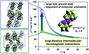 Graphical abstract: Exploring orientationally aligned anisotropic large spin molecules with unusual long-distance intermolecular ferromagnetic interactions
