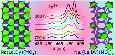 Graphical abstract: Dysprosium-activated scheelite-type oxides as thermosensitive phosphors
