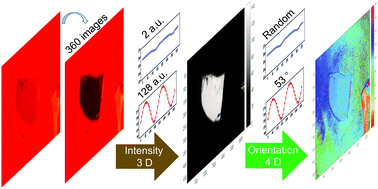 Graphical abstract: Anisotropic imaging for the highly efficient crystal orientation determination of two-dimensional materials