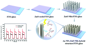 Graphical abstract: Photoelectrochemical response to glutathione in Au-decorated ZnO nanorod array