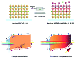 Graphical abstract: A laminar MAPbBr3/MAPbBr3−xIx graded heterojunction single crystal for enhancing charge extraction and optoelectronic performance