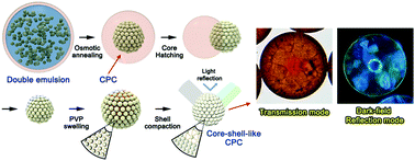 Graphical abstract: Dual-colour generation from layered colloidal photonic crystals harnessing “core hatching” in double emulsions