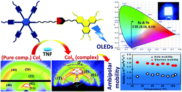 Graphical abstract: Room temperature discotic liquid crystalline triphenylene-pentaalkynylbenzene dyads as an emitter in blue OLEDs and their charge transfer complexes with ambipolar charge transport behaviour