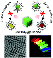 Graphical abstract: Formation of highly uniform thinly-wrapped CsPbX3@silicone nanocrystals via self-hydrolysis: suppressed anion exchange and superior stability in polar solvents