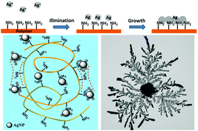 Graphical abstract: Photochemical synthesis of dendritic silver nano-particles for anti-counterfeiting