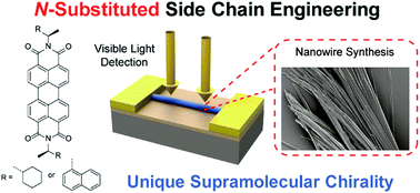 Graphical abstract: Tuning the supramolecular chirality and optoelectronic performance of chiral perylene diimide nanowires via N-substituted side chain engineering