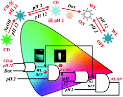 Graphical abstract: An easy and smart way to explore the light-emitting responses of carbon dot and doxorubicin hydrochloride assembly: white light generation and pH-dependent reversible photoswitching
