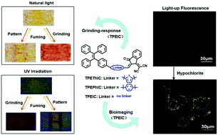 Graphical abstract: Donor–acceptor type aggregation-induced emission luminophores based on the 1,1-dicyanomethylene-3-indanone unit for bridge-dependent reversible mechanochromism and light-up biosensing of hypochlorites