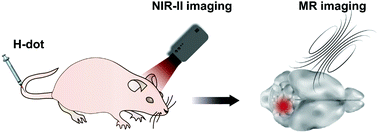 Graphical abstract: Mn-Loaded apolactoferrin dots for in vivo MRI and NIR-II cancer imaging