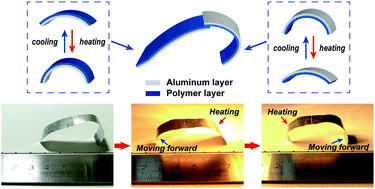 Graphical abstract: Thermo-responsive aluminum-based polymer composite films with controllable deformation