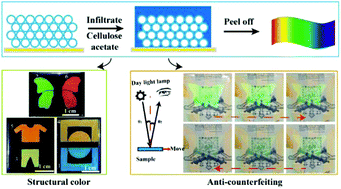 Graphical abstract: Hollow silica opals/cellulose acetate nanocomposite films with structural colors for anti-counterfeiting of banknotes