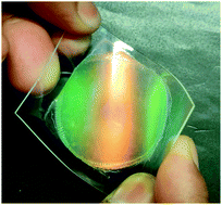 Graphical abstract: Paintable temperature-responsive cholesteric liquid crystal reflectors encapsulated on a single flexible polymer substrate