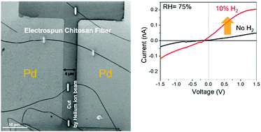 Graphical abstract: Enhanced protonic conductivity and IFET behavior in individual proton-doped electrospun chitosan fibers