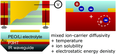Graphical abstract: Vogel–Tammann–Fulcher model for charging dynamics in an organic electrochemical transistor