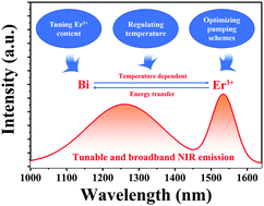 Graphical abstract: Temperature dependent energy transfer in Bi/Er codoped barium gallogermanate glasses for tunable and broadband NIR emission